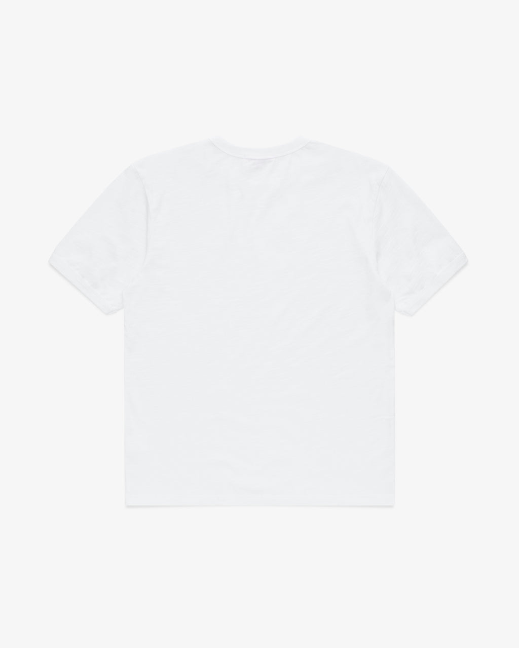 Brotherwolf Ringer Tee in plain white, back view